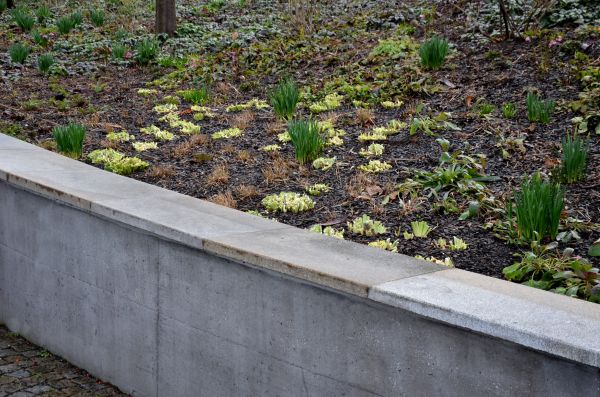 Concrete Wall Construction in Dover