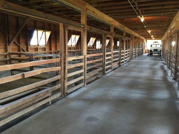 Barn Slab Construction in Dover