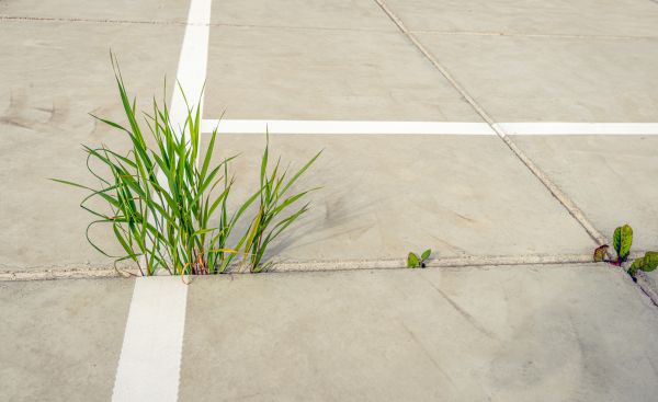 Concrete Parking Installation in Dover
